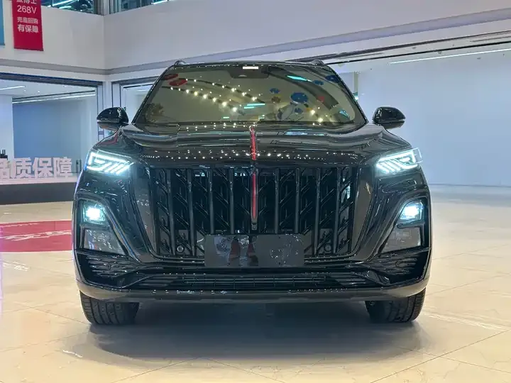 HongQi HS5 2025 2.0T 4-wheel drive Xuan Ying Edition 2