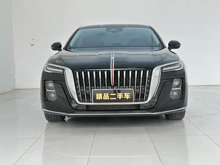 HongQi H5 2024 2.0T Auto Zhilian Flag Edition 2