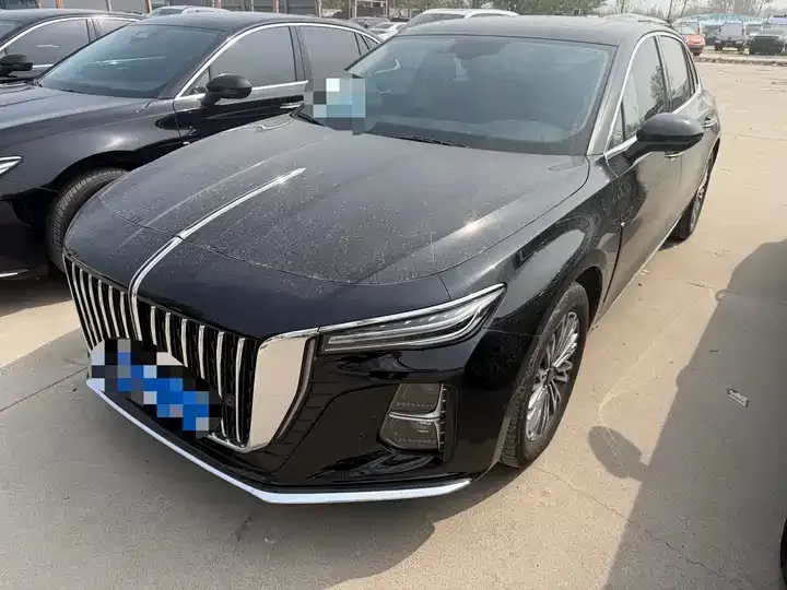 HongQi H5 2025 1.5T DCT Flag Yue Edition - View 1