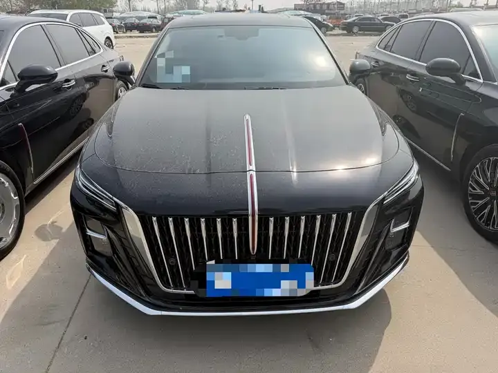 HongQi H5 2025 1.5T DCT Flag Yue Edition 2