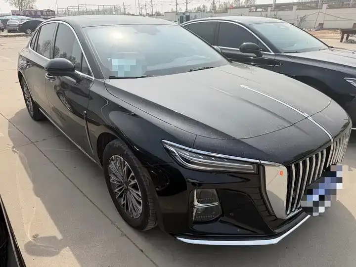 HongQi H5 2025 1.5T DCT Flag Yue Edition 3