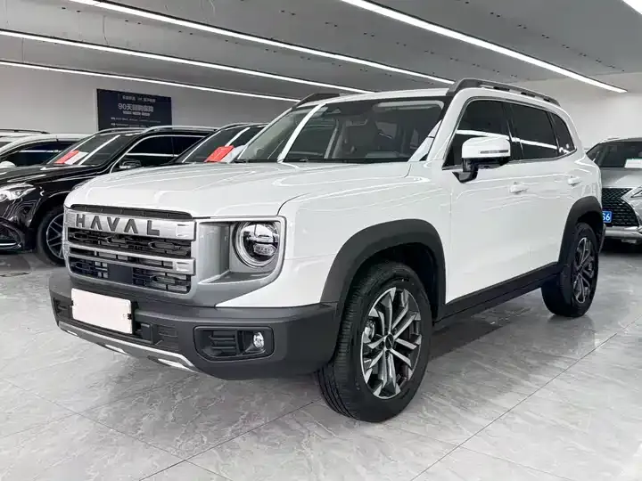 Haval Big Dog 2024 1.5T DCT Border Animal Husbandry Edition - View 1