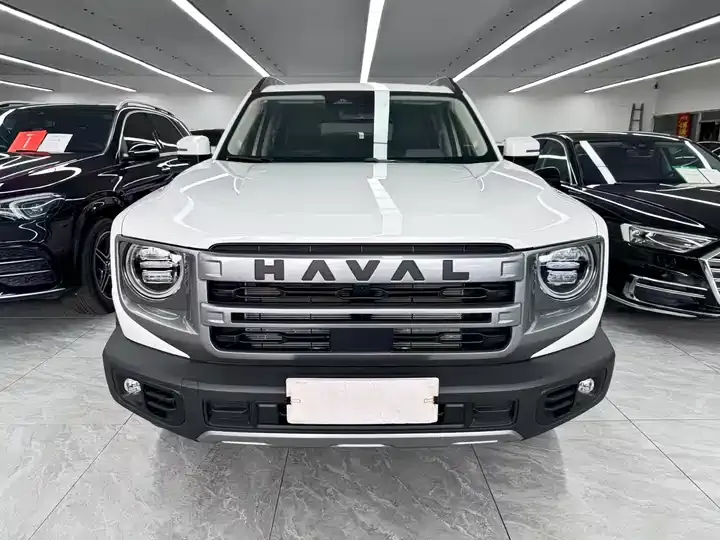 Haval Big Dog 2024 1.5T DCT Border Animal Husbandry Edition 2
