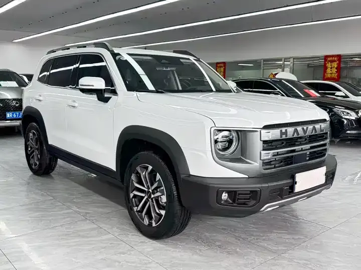 Haval Big Dog 2024 1.5T DCT Border Animal Husbandry Edition 3