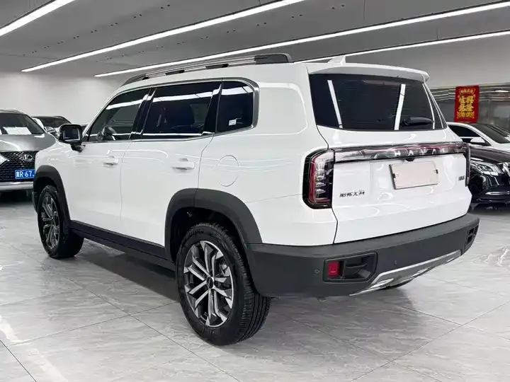 Haval Big Dog 2024 1.5T DCT Border Animal Husbandry Edition 4