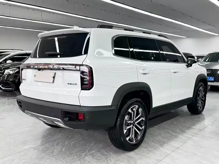 Haval Big Dog 2024 1.5T DCT Border Animal Husbandry Edition 6