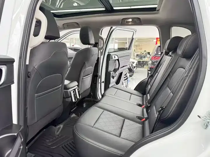 Haval Big Dog 2024 1.5T DCT Border Animal Husbandry Edition 8