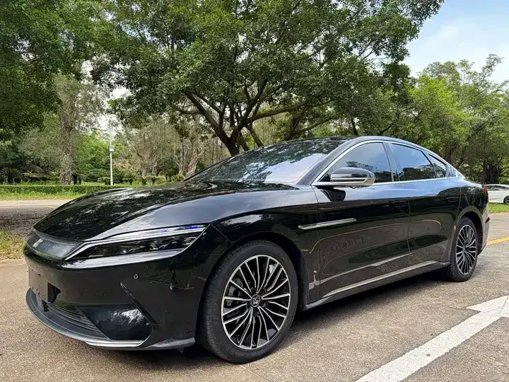 Han 2020 EV Super Long Endurance Deluxe Model - View 1