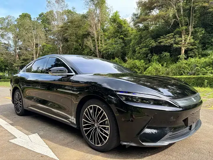 Han 2020 EV Super Long Endurance Deluxe Model 3