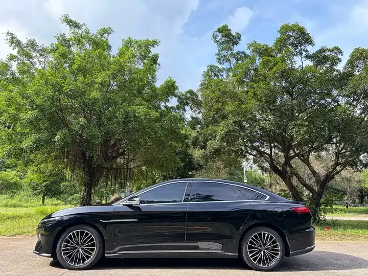 Han 2020 EV Super Long Endurance Deluxe Model 4