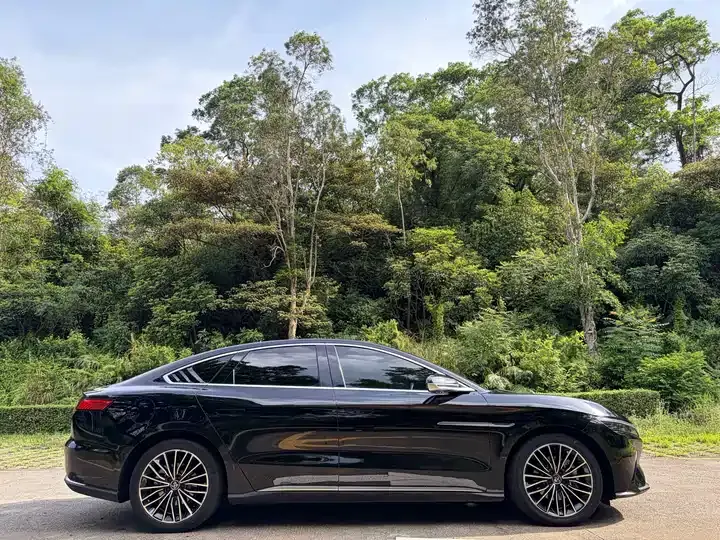 Han 2020 EV Super Long Endurance Deluxe Model 6