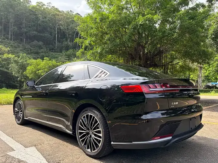Han 2020 EV Super Long Endurance Deluxe Model 7