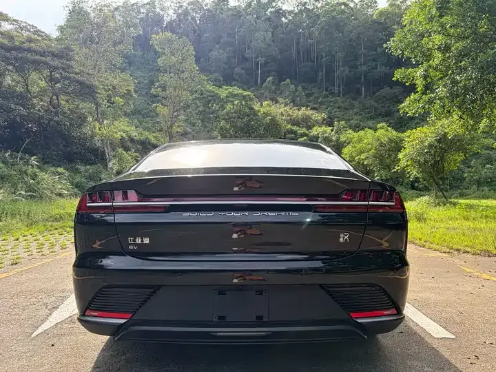 Han 2020 EV Super Long Endurance Deluxe Model 8