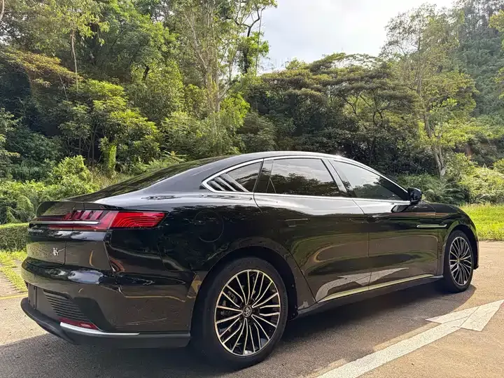 Han 2020 EV Super Long Endurance Deluxe Model 9