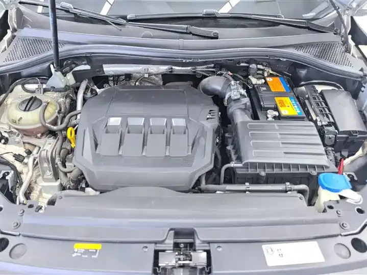 Tiguan L 2021 330TSI Automatic Two-Drive Comfortable Edition 10