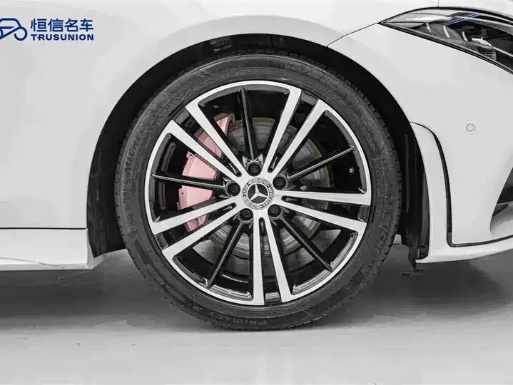 Mercedes Benz CLS 2021 CLS 300 Dynamic 11