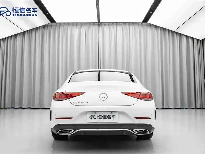 Mercedes Benz CLS 2021 CLS 300 Dynamic 6