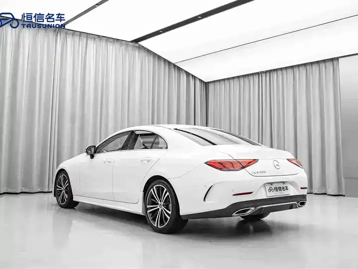 Mercedes Benz CLS 2021 CLS 300 Dynamic 7
