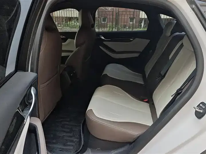 Qin PLUS 2023 Champion Edition DM-i 55KM Leading Model 11