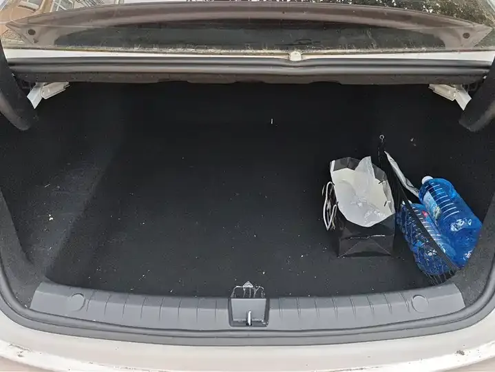 Qin PLUS 2023 Champion Edition DM-i 55KM Leading Model 4
