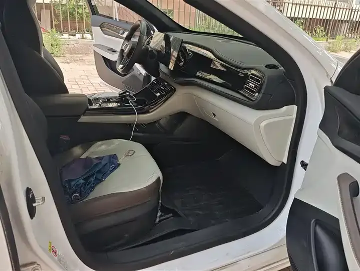 Qin PLUS 2023 Champion Edition DM-i 55KM Leading Model 8