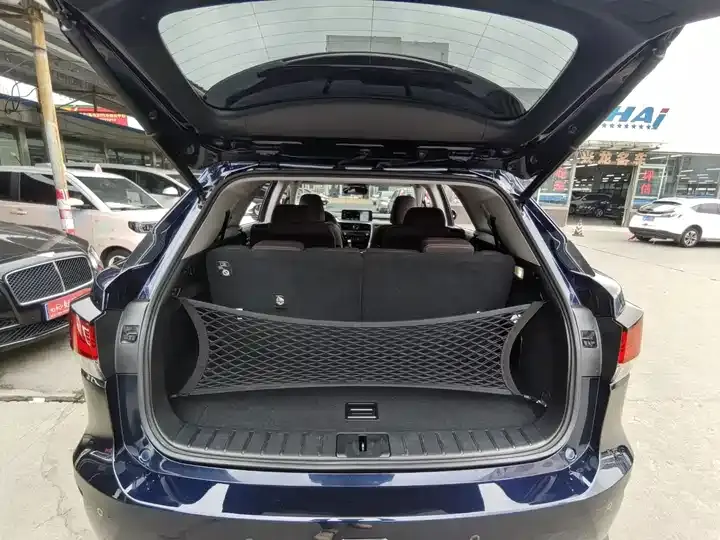 Lexus RX 2021 450hL 4-wheel drive deluxe edition 6 seats 11