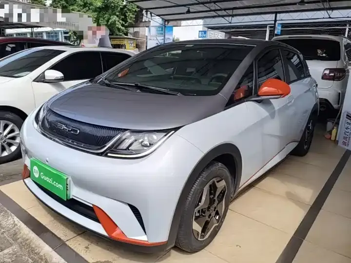 Dolphin 2021 405km Free Edition 2