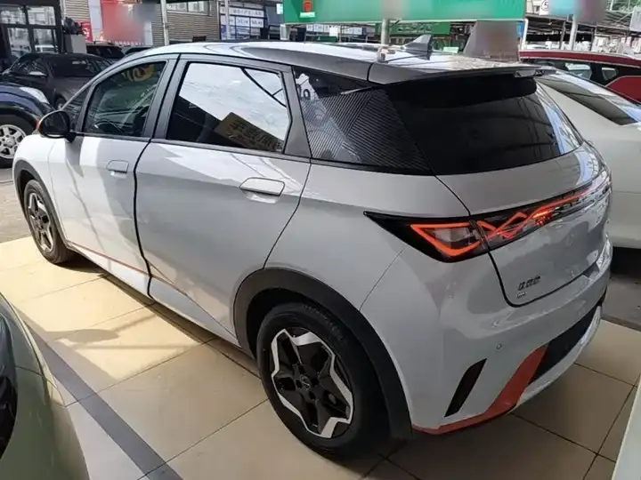 Dolphin 2021 405km Free Edition 5
