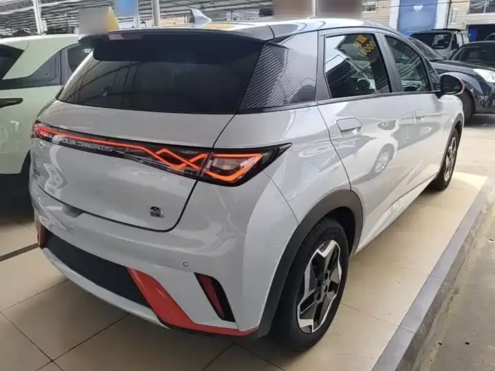 Dolphin 2021 405km Free Edition 7