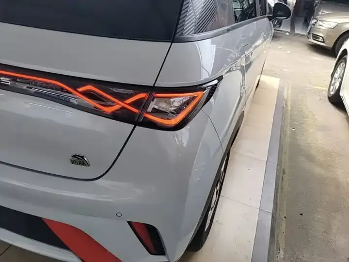 Dolphin 2021 405km Free Edition 8