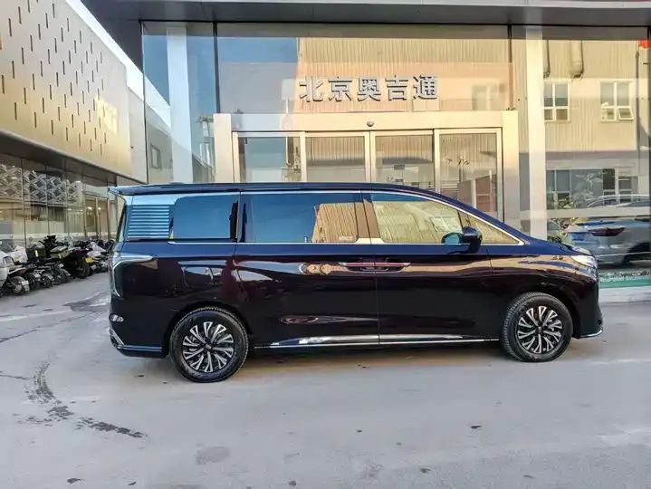 HongQi HQ9 PHEV 2024 2.0T 4WD Deluxe Edition 8