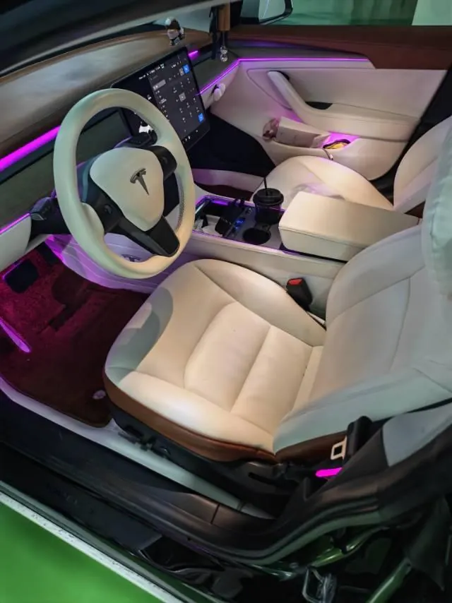 Tesla 2023 Model 3 Rejuvenation Edition Rear Wheel Drive Automatic Transmission - View 1