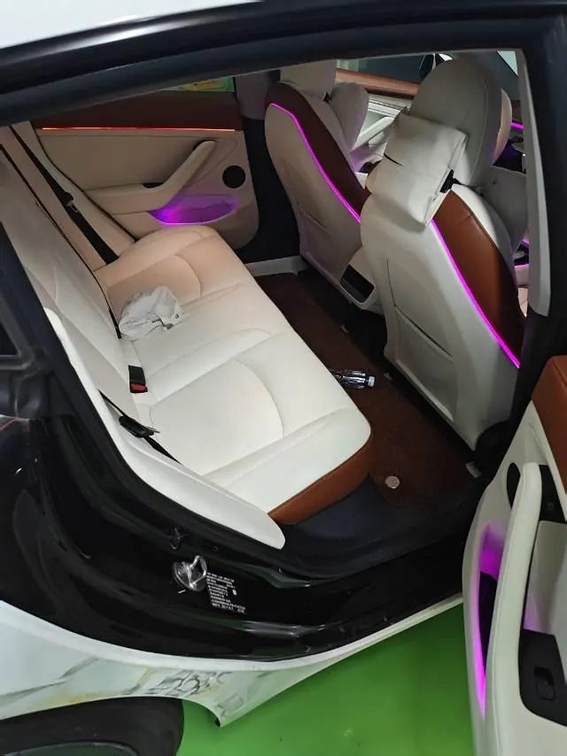 Tesla 2023 Model 3 Rejuvenation Edition Rear Wheel Drive Automatic Transmission 3