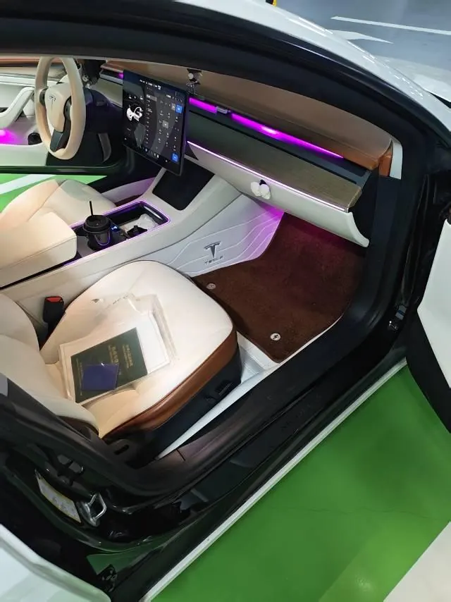 Tesla 2023 Model 3 Rejuvenation Edition Rear Wheel Drive Automatic Transmission 4