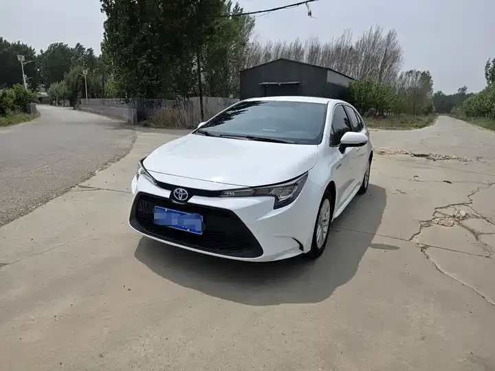 Lei Ling 2022 Double Engine 1.8H E-CVT Enterprising Edition - View 1