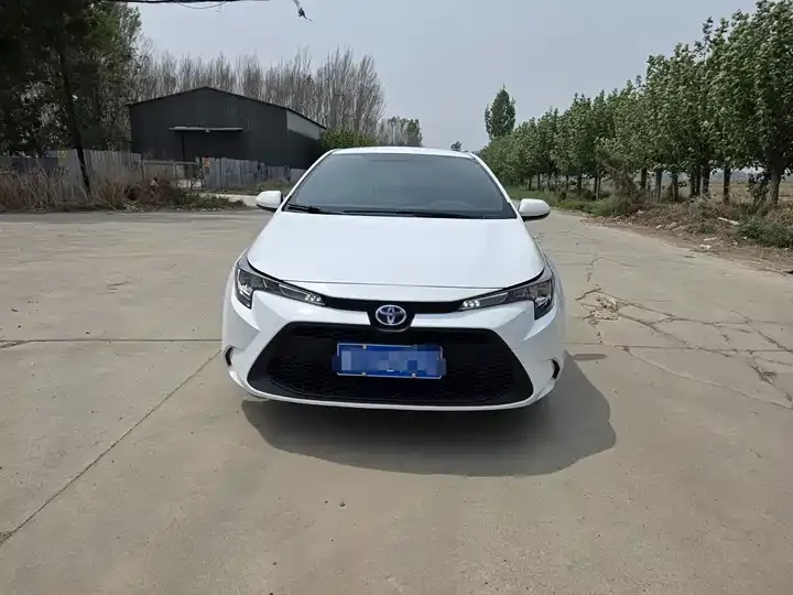 Lei Ling 2022 Double Engine 1.8H E-CVT Enterprising Edition 2