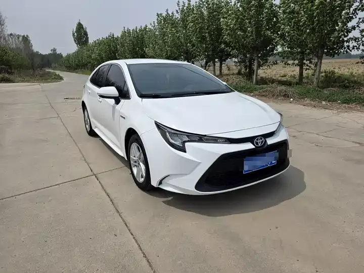 Lei Ling 2022 Double Engine 1.8H E-CVT Enterprising Edition 3