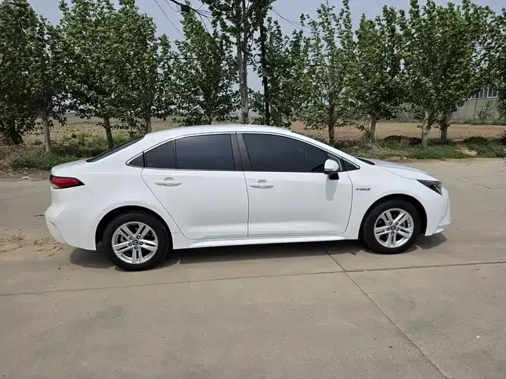 Lei Ling 2022 Double Engine 1.8H E-CVT Enterprising Edition 4