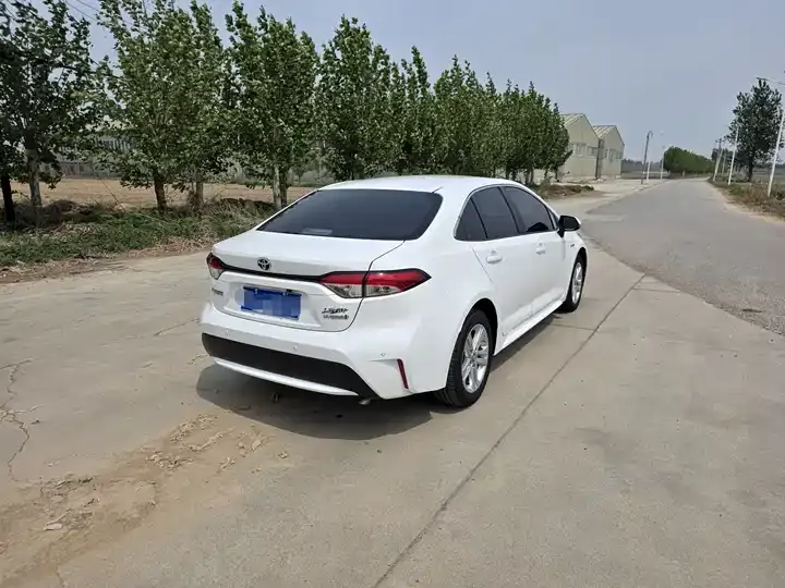 Lei Ling 2022 Double Engine 1.8H E-CVT Enterprising Edition 5