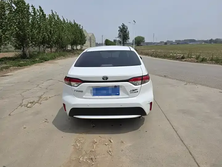 Lei Ling 2022 Double Engine 1.8H E-CVT Enterprising Edition 6