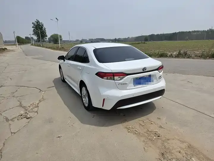 Lei Ling 2022 Double Engine 1.8H E-CVT Enterprising Edition 7