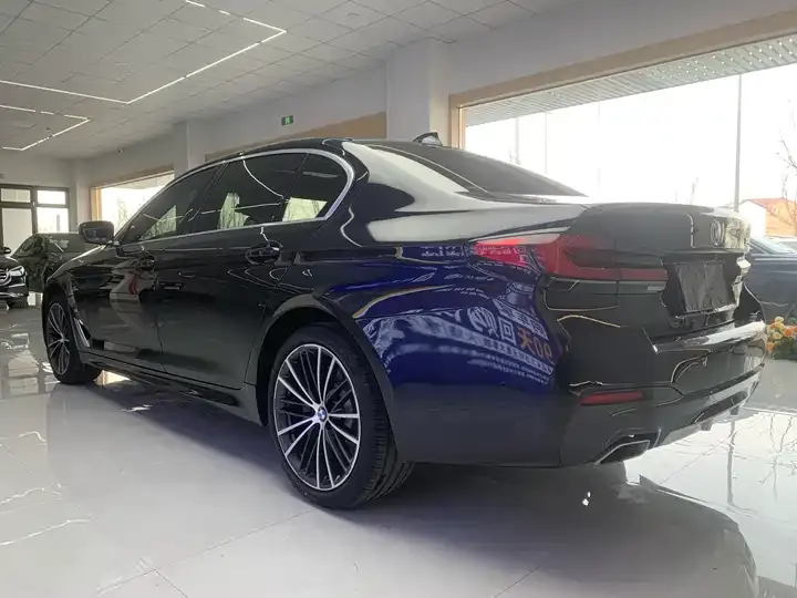 BMW 5 Series 2022 530Li Leading M Sports Suit 8