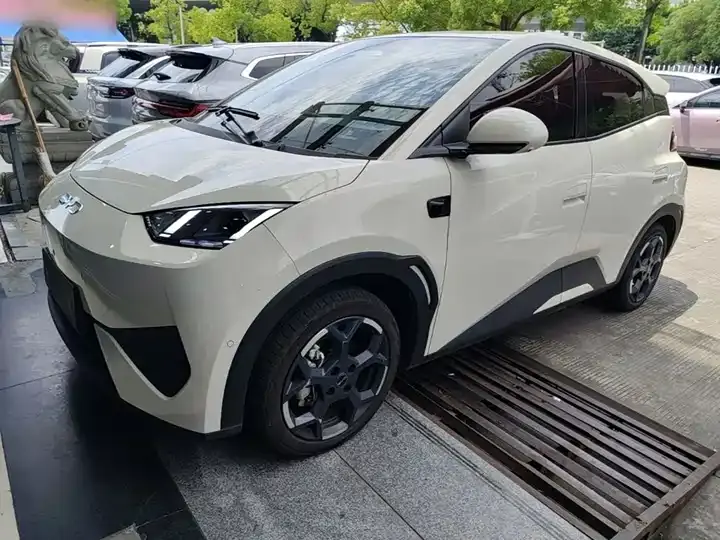Seagull 2025 Smart Driving Edition 405km Flying Edition - View 1