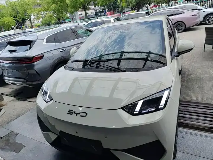 Seagull 2025 Smart Driving Edition 405km Flying Edition 3