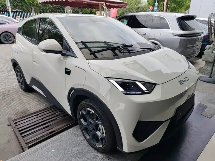 Seagull 2025 Smart Driving Edition 405km Flying Edition 4