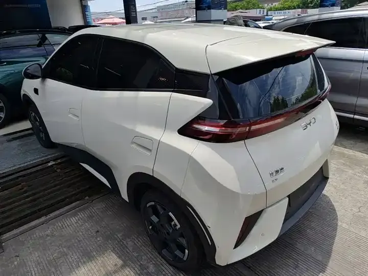 Seagull 2025 Smart Driving Edition 405km Flying Edition 5