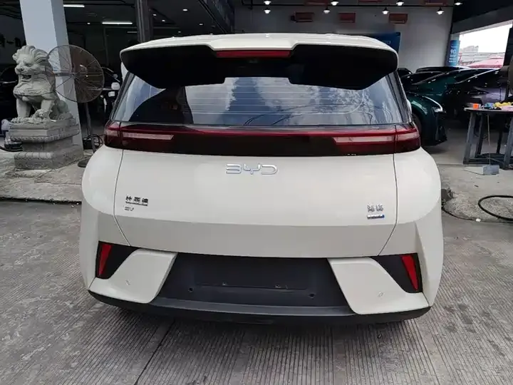 Seagull 2025 Smart Driving Edition 405km Flying Edition 6