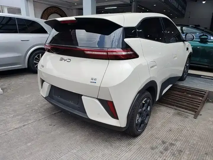 Seagull 2025 Smart Driving Edition 405km Flying Edition 7