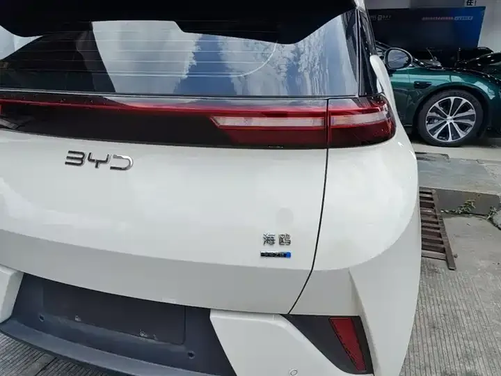 Seagull 2025 Smart Driving Edition 405km Flying Edition 8