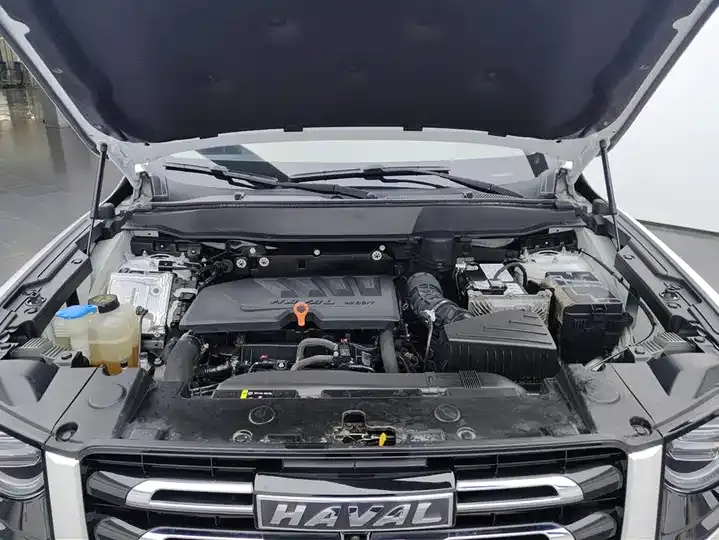 Haval Big Dog 2021 1.5T DCT Two-Drive Border Animal Husbandry-Wangcai Edition 10